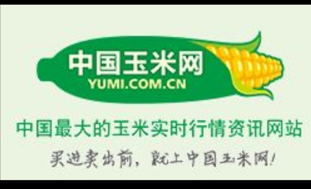 玉米網(wǎng)