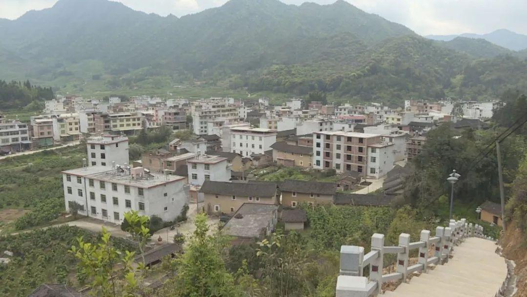 东槐村