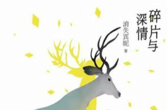 碎片与深情