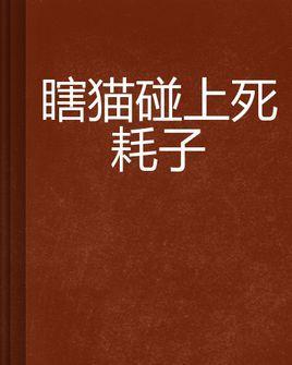 瞎貓碰上死耗子