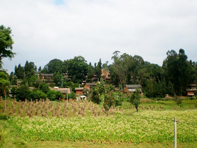 戈衣黑村