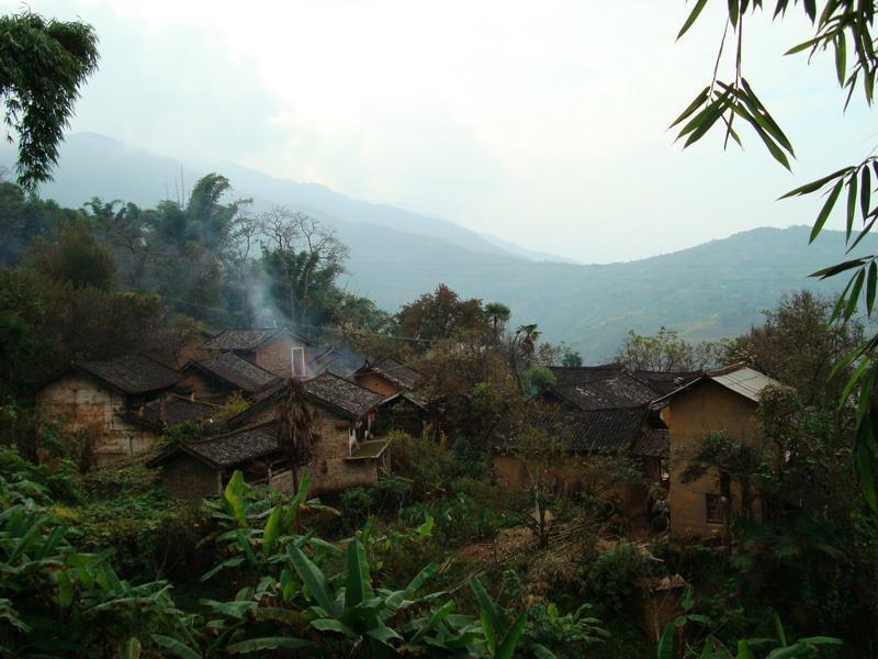 黑樹村
