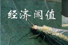 經(jīng)濟(jì)閾值