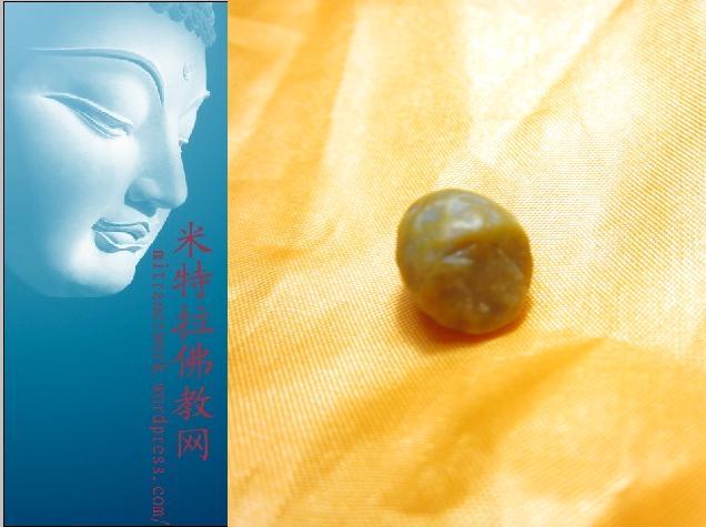 杜松虔巴