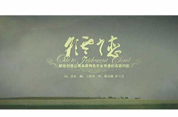 彩云之恋