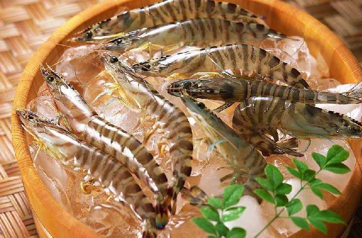 鲜虾