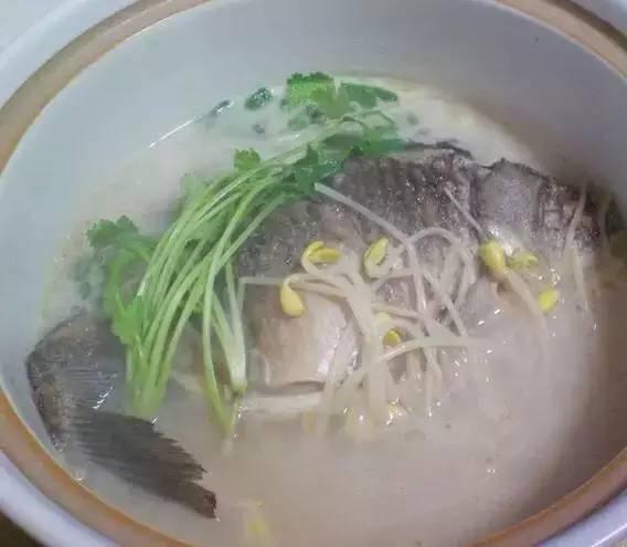 鲫鱼豆芽汤