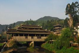 西一村
