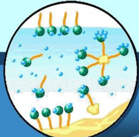 电活性高分子