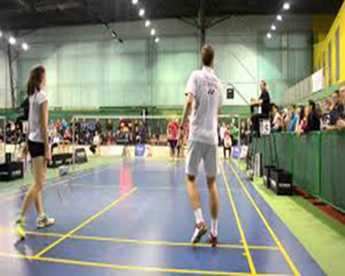 2013年保加利亞羽毛球國際賽