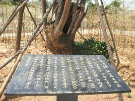 毛家灣鎮(zhèn)
