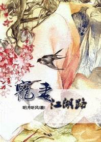 宠妻江湖路