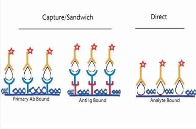 酶聯(lián)免疫吸附劑測(cè)定