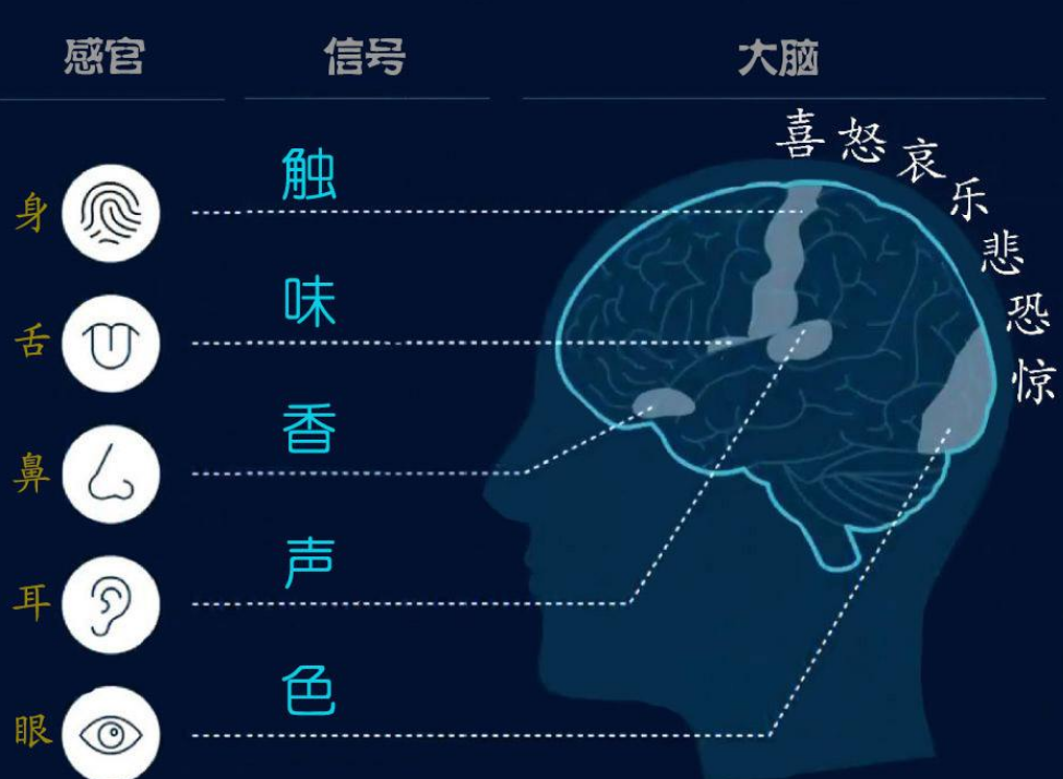 五感療法