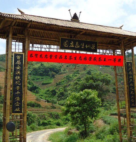 龍忠堂貢品名茶生態(tài)園