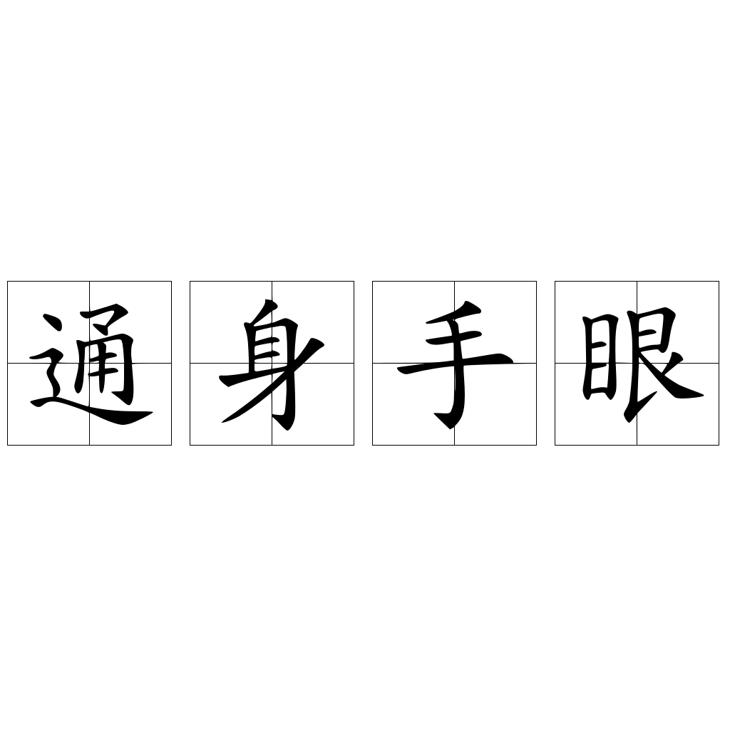 通身手眼