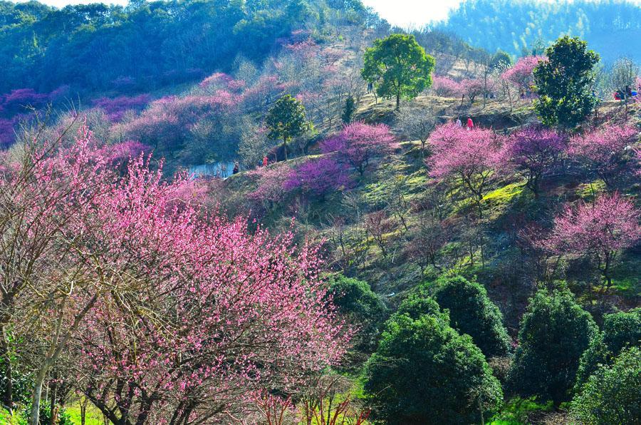 吕辉村
