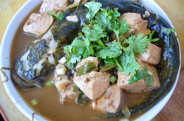 鯰魚燉豆腐