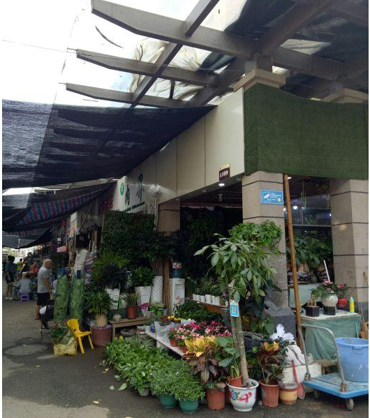 杭州城西花鳥工藝品市場(chǎng)