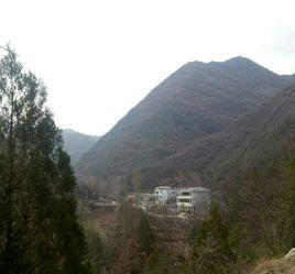 李山村