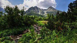 正阳山乡
