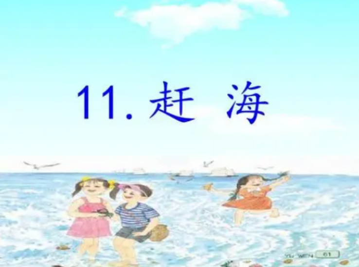 趕海