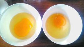 機(jī)械性散黃