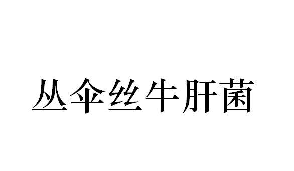 丛伞丝牛肝菌