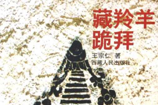 藏羚羊的跪拜