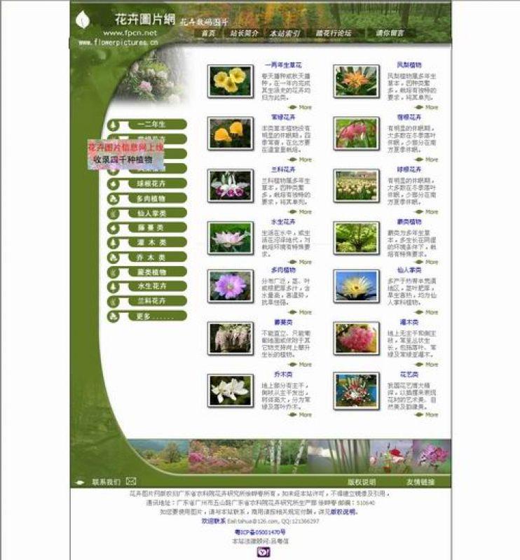 花卉圖片網(wǎng)