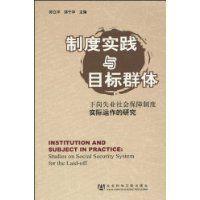 制度實(shí)踐與目標(biāo)群體