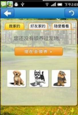 他社区宠物