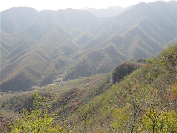 吴家垴村
