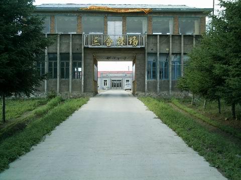 石頭河林場(chǎng)