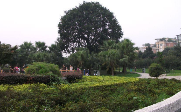 神仙树公园