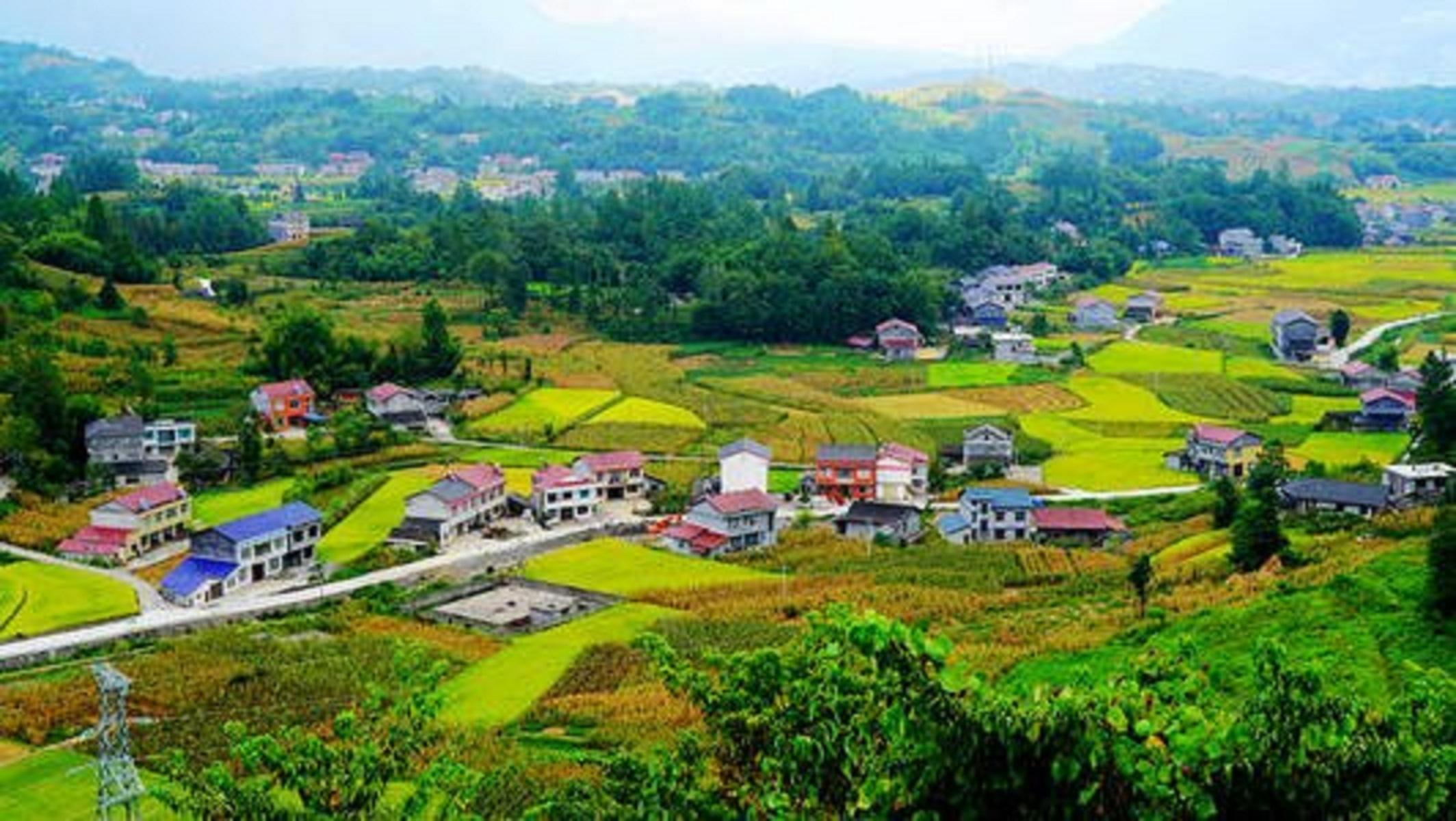 千金村