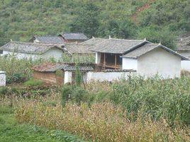 蔡家坪村