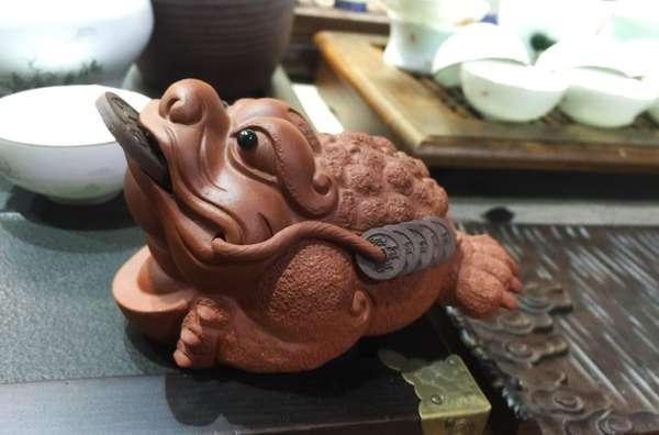 咬錢(qián)蟾蜍