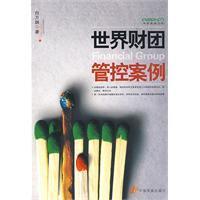 世界财团管控案例