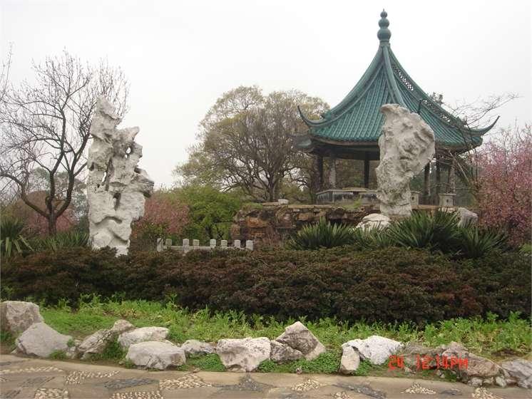 泰山梅园