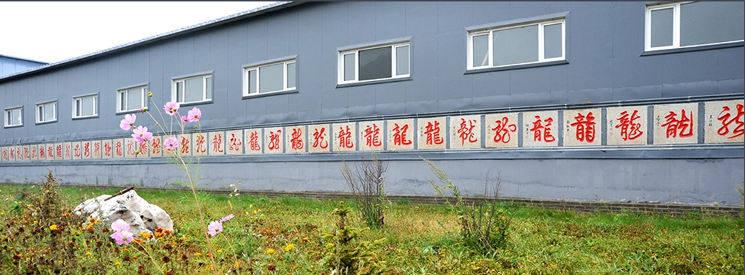 龍騰盛世