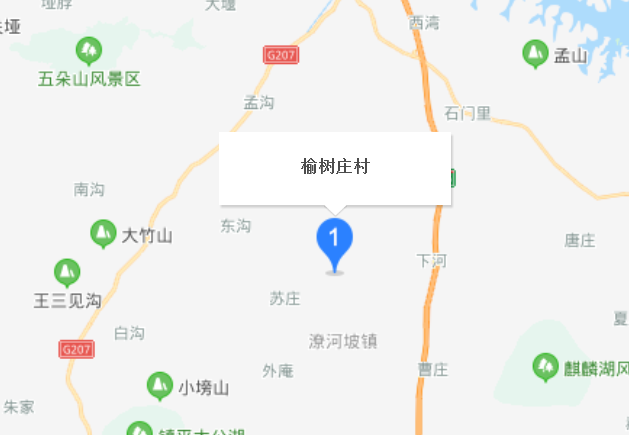 榆树庄村