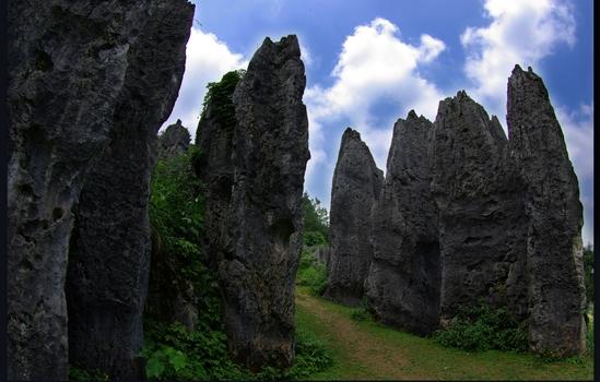 思南石林景区