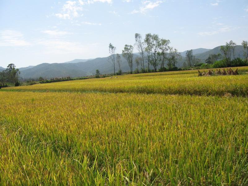 許家山村