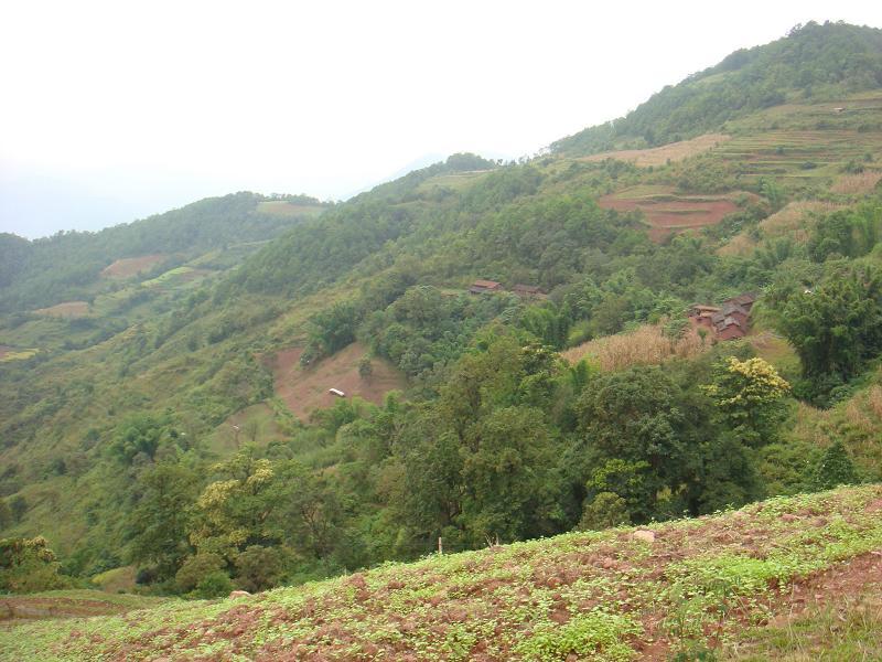 楊埠寨村