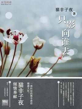 只影向谁去