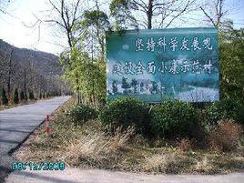 北川村