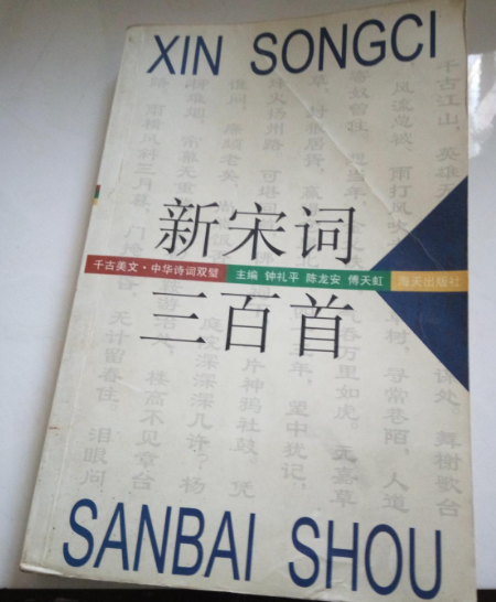 新宋詞三百首
