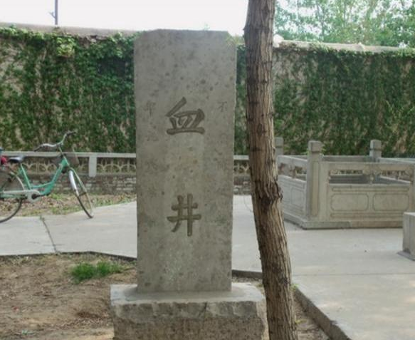 血井