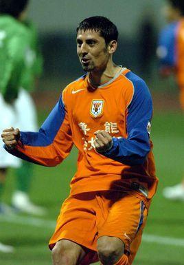 丹丘內(nèi)斯庫